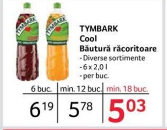 Selgros TYMBARK Cool Băutură răcoritoare Ofertă