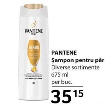 Selgros PANTENE Şampon pentru păr Ofertă