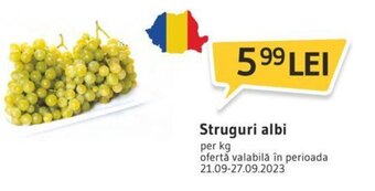 Supeco Struguri albi Ofertă