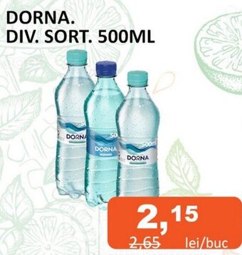 DORNA. DIV. SORT. 500ML