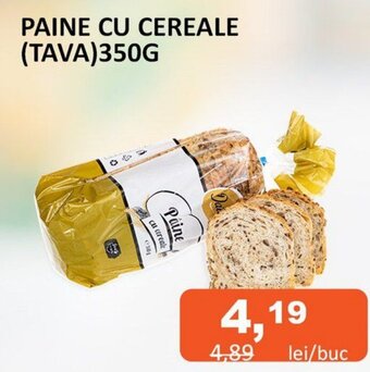 Unicarm PAINE CU CEREALE (TAVA)350G Ofertă