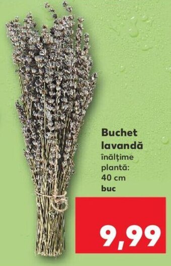 Kaufland Buchet lavandă Ofertă