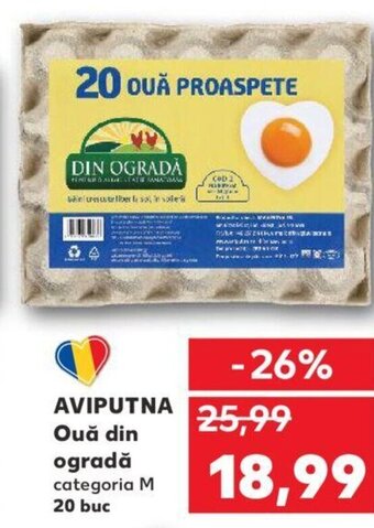 Kaufland AVIPUTNA Ouă din ogradă Ofertă