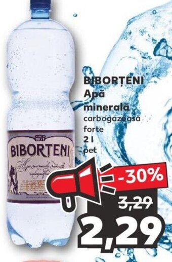 Kaufland BIBORTENI Apă minerală Ofertă