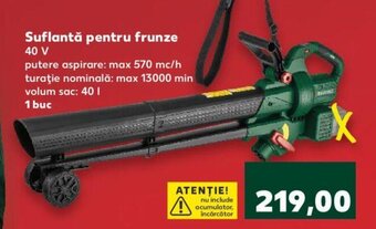 Suflantă pentru frunze 40 V
