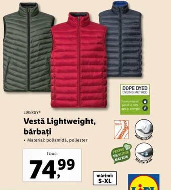 Lidl LIVERGY™ Vestă Lightweight, bărbaţi Ofertă