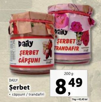 DAILY Şerbet