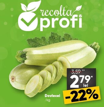 PROFI Dovlecei Ofertă