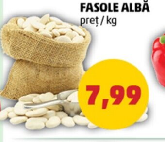 Penny FASOLE ALBĂ Ofertă