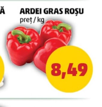 Penny ARDEI GRAS ROȘU Ofertă