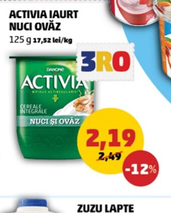 Penny ACTIVIA IAURT NUCI OVĂZ Ofertă