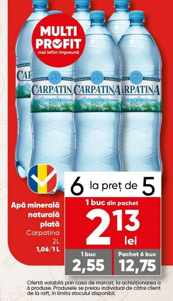 PROFI Apă minerală naturală plată Ofertă