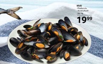 Selgros Midii Ofertă