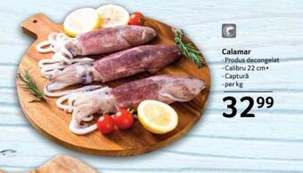 Selgros Calamar Ofertă