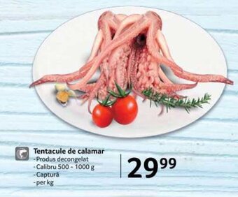 Selgros Tentacule de calamar Ofertă