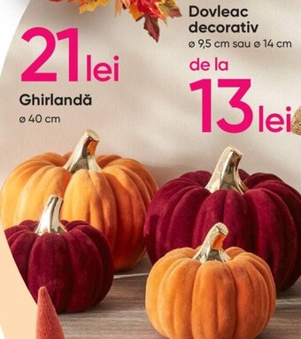 Pepco Dovleac decorativ Ofertă