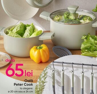 Oală Peter Cook ø 20 cm sau ø 24 cm