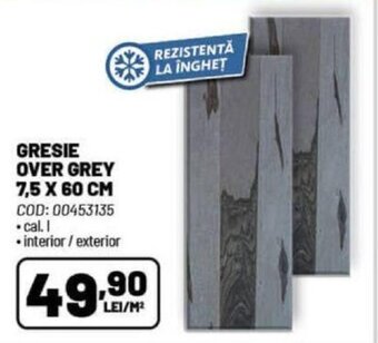 Ambient GRESIE OVER GREY 7,5 X 60 cm Ofertă