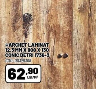 Ambient PARCHET LAMINAT 12.3 MM X 808 X 130 CONIC DETRI 1736-3 Ofertă