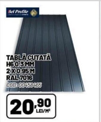 Ambient TABLA CUTATĂ H60.3MM 2X0.95M Ofertă
