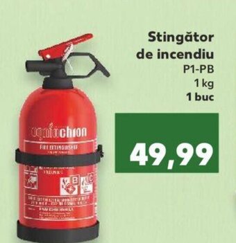 Kaufland Stingător de incendiu P1-PB Ofertă