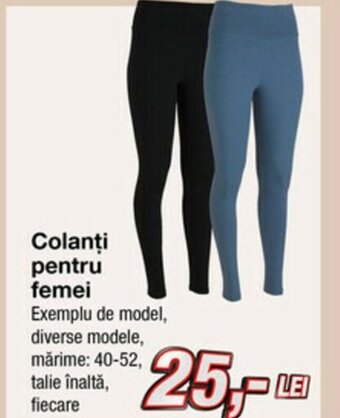 Kik Colanți pentru femei Ofertă