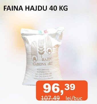 FAINA HAJDU 40 KG