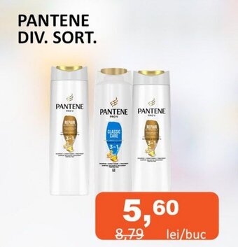 PANTENE DIV. SORT.