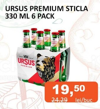 URSUS PREMIUM STICLA 330 ML 6 PACK
