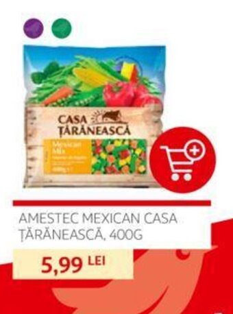 AMESTEC MEXICAN CASA ŢĂRĂNEASCĂ, 400G 5,99 LEI