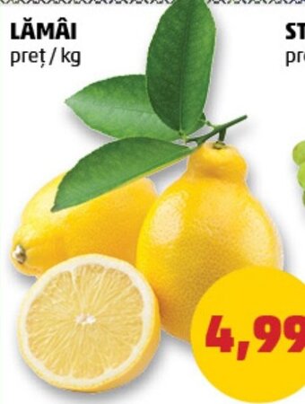 LĂMÂI pret/kg