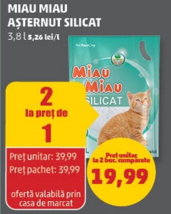 Penny MIAU MIAU AȘTERNUT SILICAT Ofertă