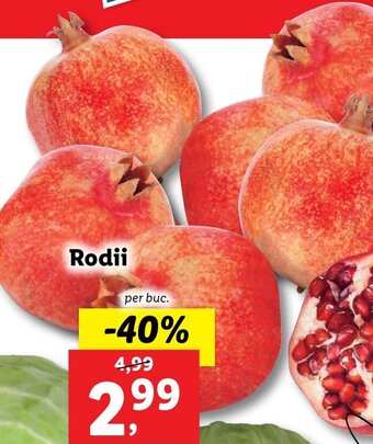 Lidl Rodii Ofertă