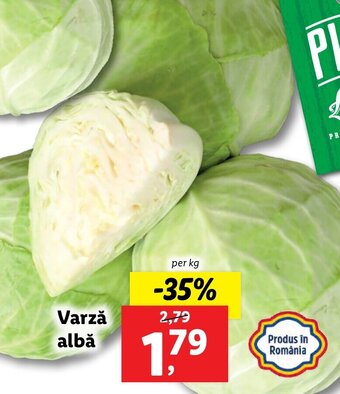 Lidl Varză albă Ofertă
