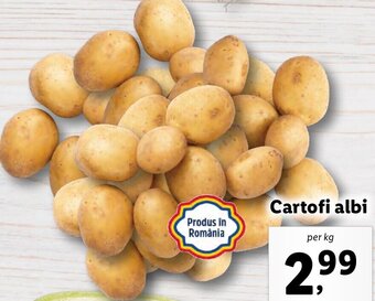 Lidl Cartofi albi Ofertă