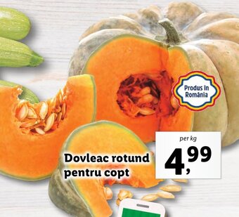 Dovleac rotund pentru copt