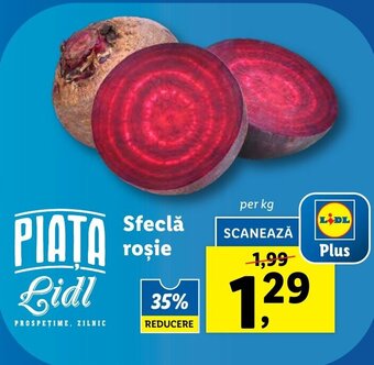 Lidl Sfeclă roşie Ofertă