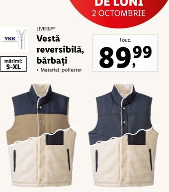 Vestă reversibilă, bărbaţi