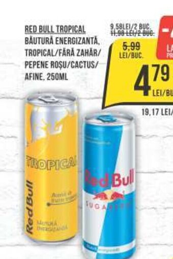 Mega Image RED BULL TROPICAL BĂUTURĂ ENERGIZANTA, TROPICAL/FĂRĂ ZAHAR/ PEPENE ROȘU/CACTUS/ AFINE, 250ML Ofertă