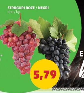 Penny STRUGURI ROZE NEGRI Ofertă
