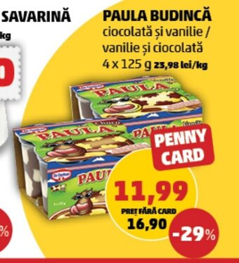 PAULA BUDINCĂ