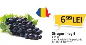 Supeco Struguri negri Ofertă