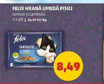 Penny FELIX HRANĂ UMEDĂ PISICI Ofertă