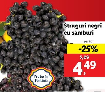 Struguri negri cu sâmburi