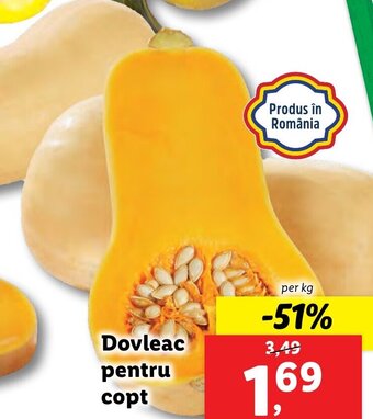 Lidl Dovleac pentru copt Ofertă