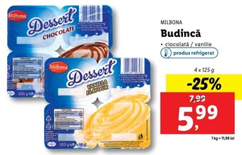Lidl Budincă Ofertă