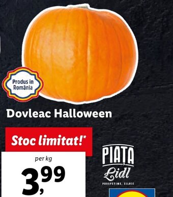 Dovleac Halloween