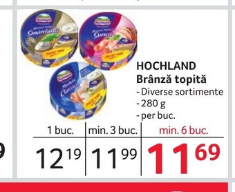 Selgros HOCHLAND Brânză topită Ofertă