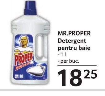 Selgros MR.PROPER Detergent pentru baie Ofertă