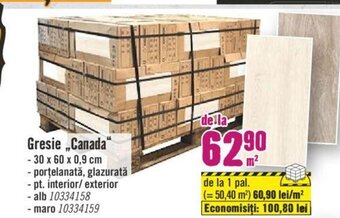 Hornbach Gresie Canada" Ofertă